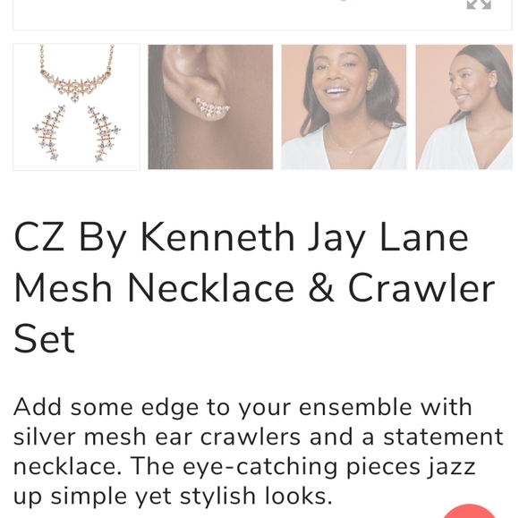 mesh necklace & crawler earrings - Picture 4 of 4